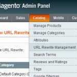 Magento URL Rewriting, Regex and 301 Redirects Tips